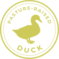 Pasture-Raised Duck